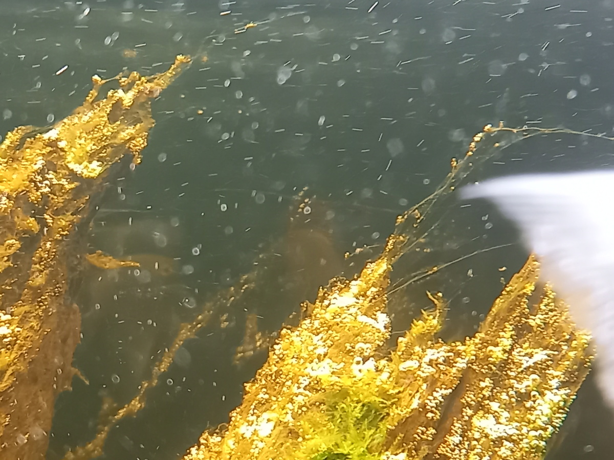 20210801_192306.jpg