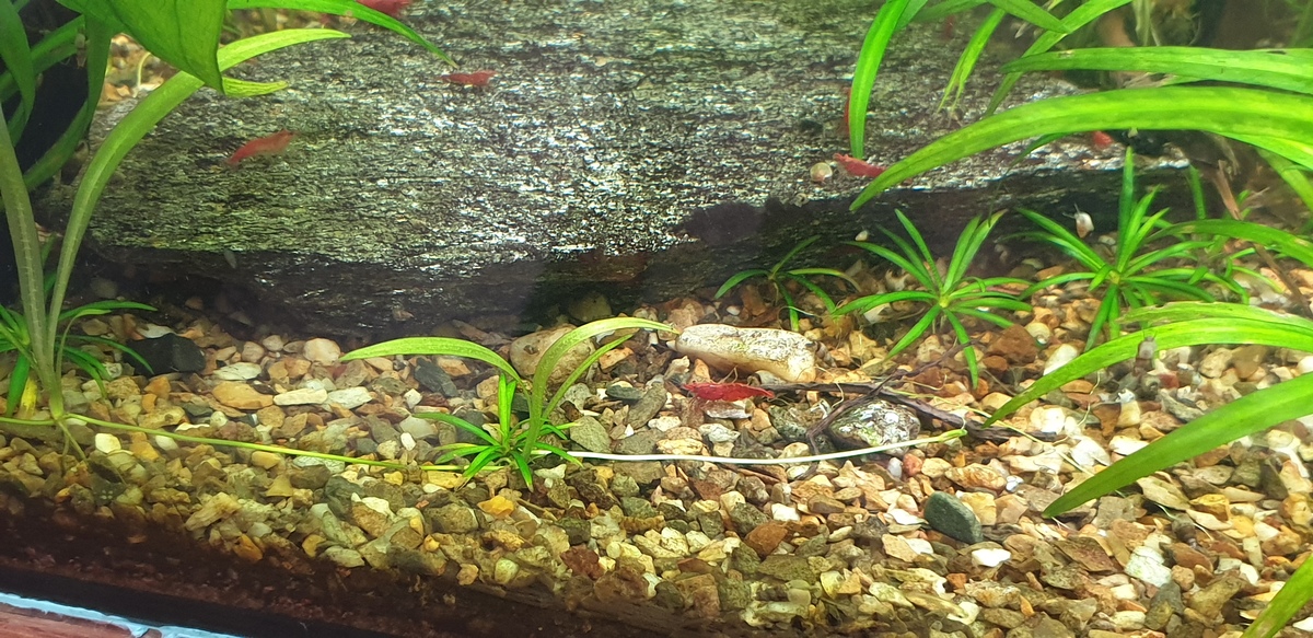 20210807_165018.jpg