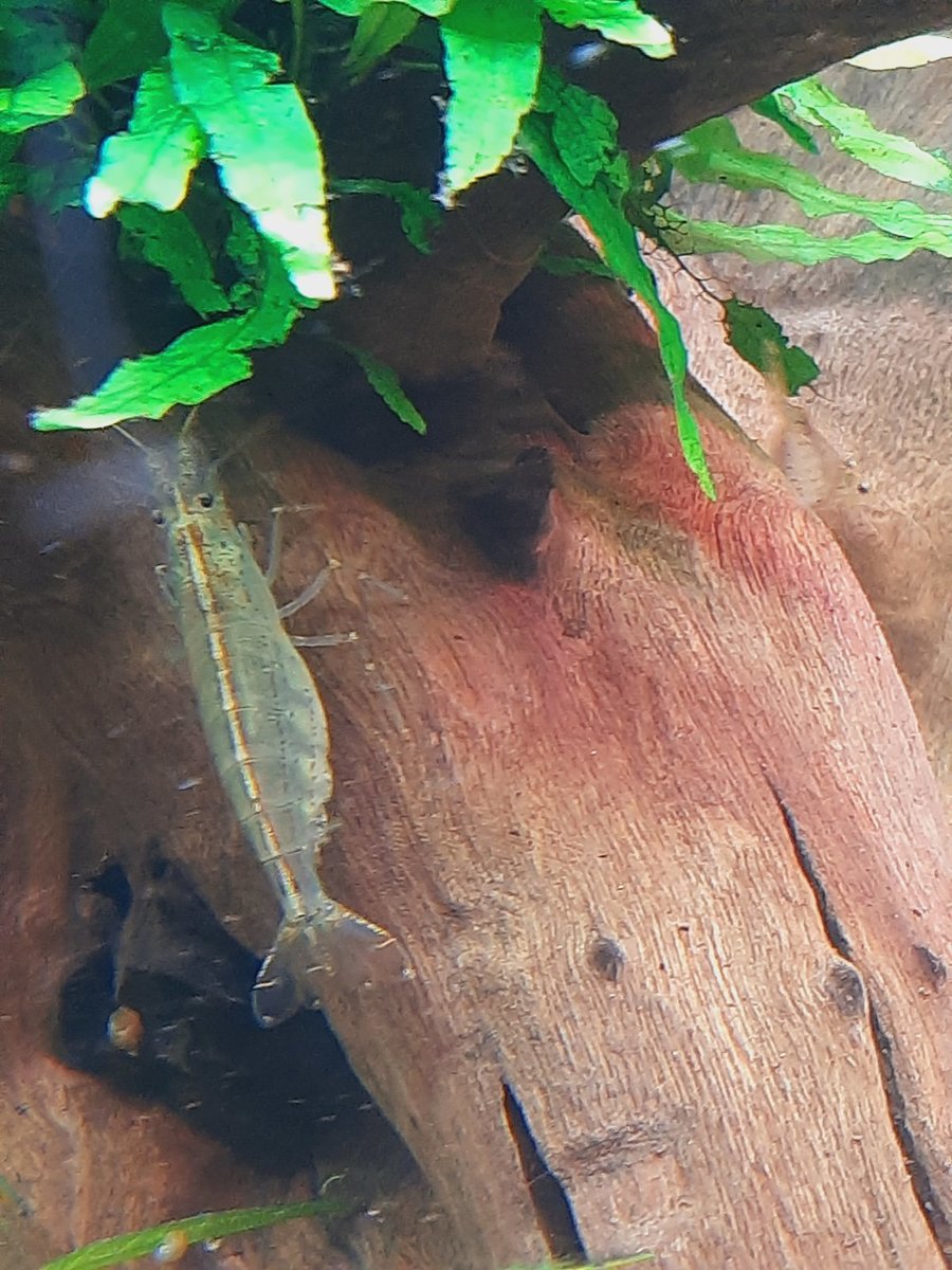 20210810_213326.jpg