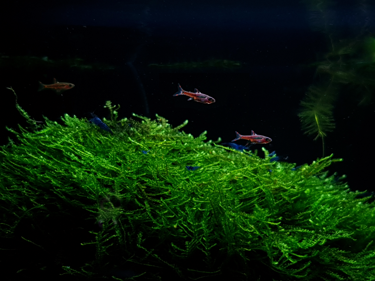 20210814_135610-web.png