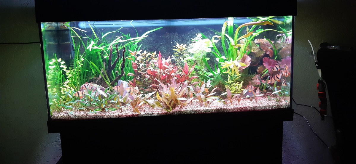 20210814_221230.jpg