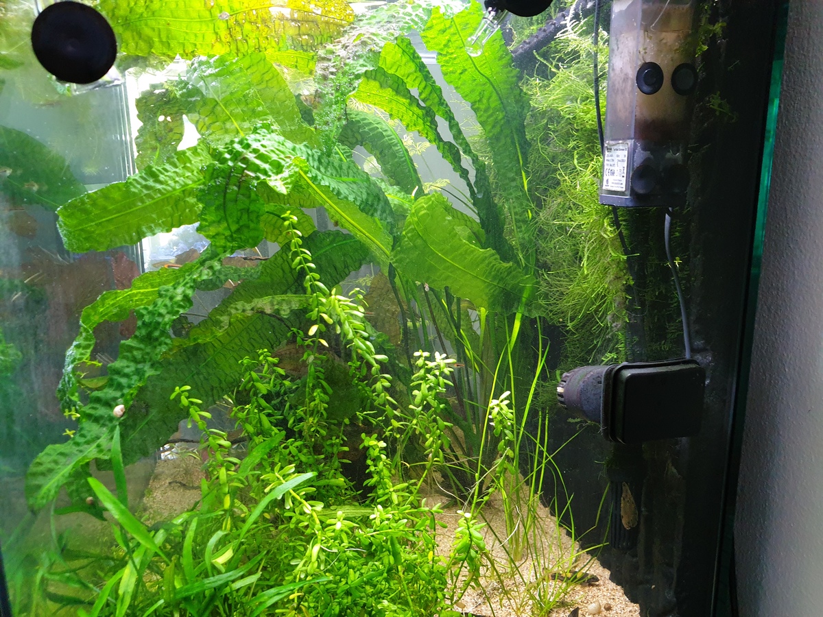 20210815_150214.jpg