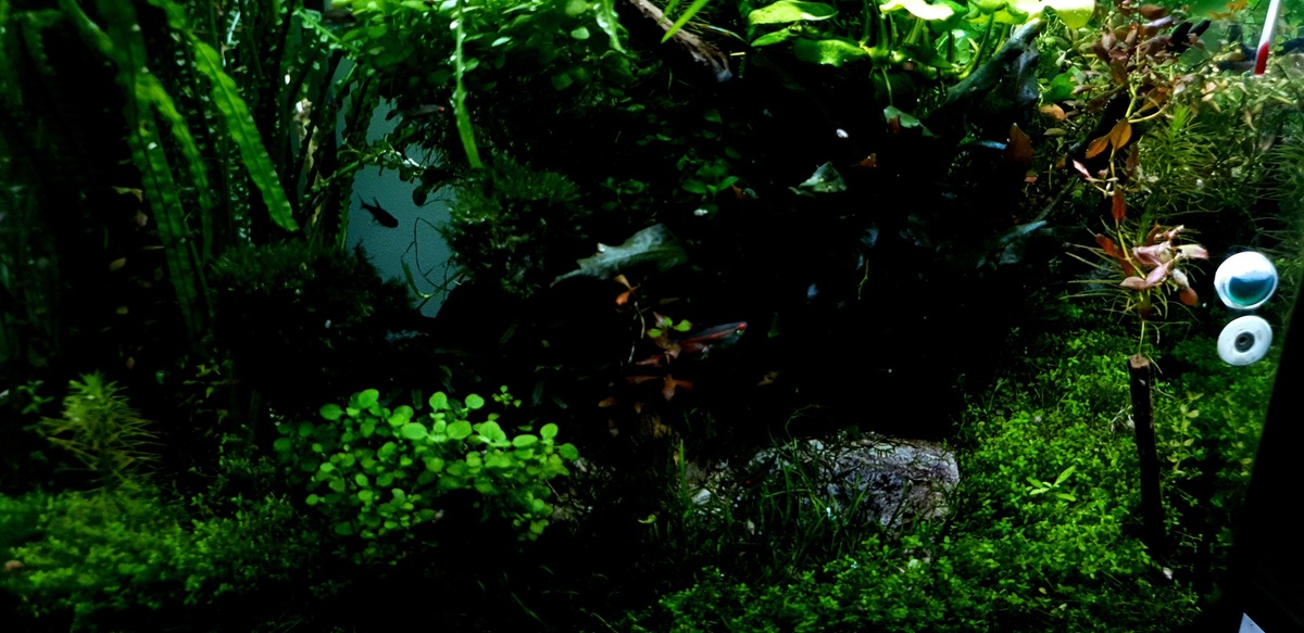 20210818_224753.jpg