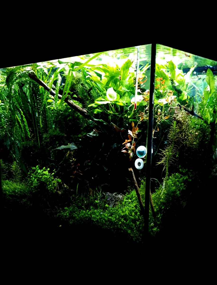 20210818_224946.jpg