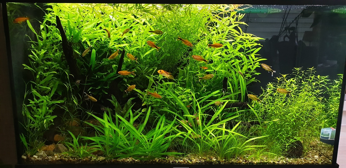 20210831_172317.jpg