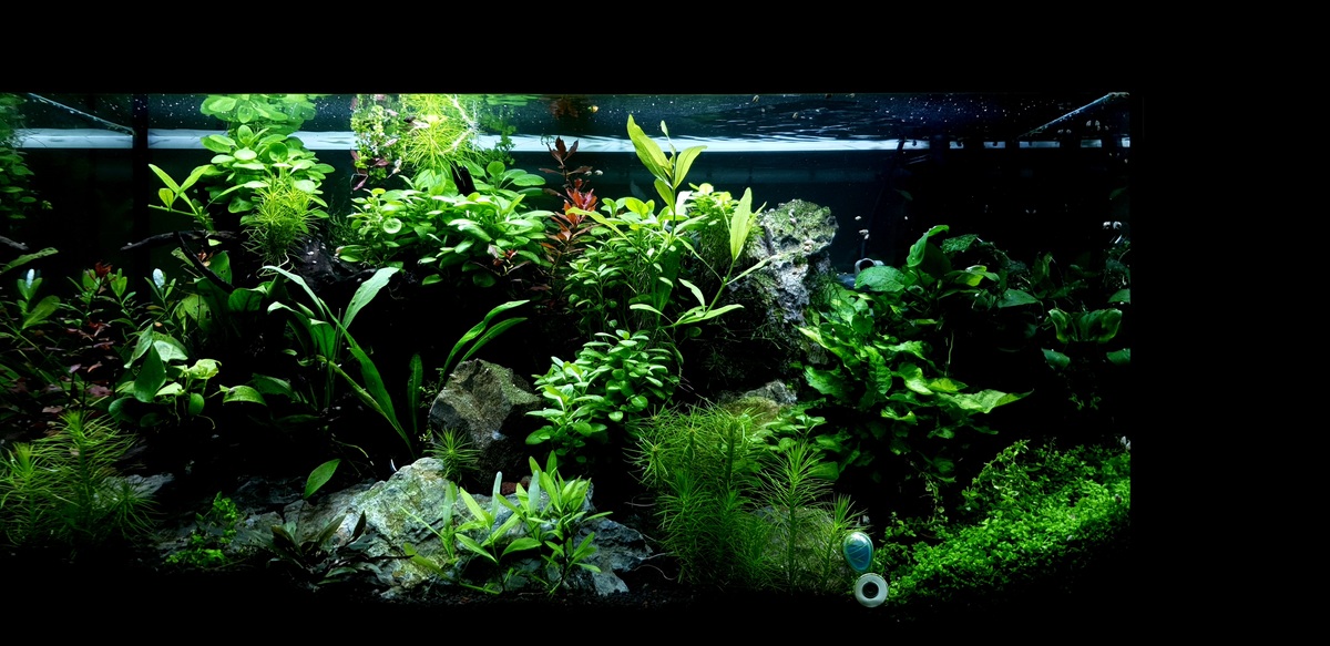 20210902_221005.jpg