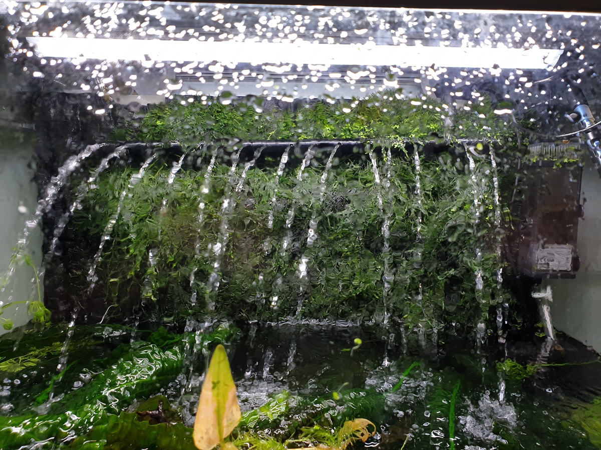 20210905_140642.jpg