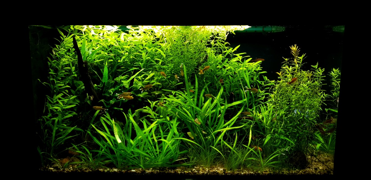 20210929_201643.jpg