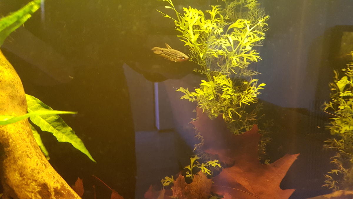 20211015_161436.jpg