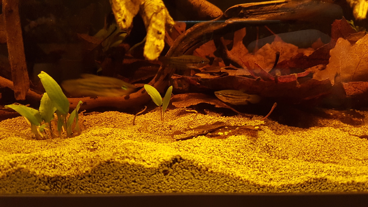 20211015_221016.jpg