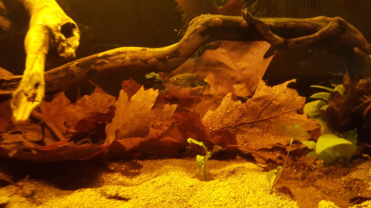 20211015_221047.jpg