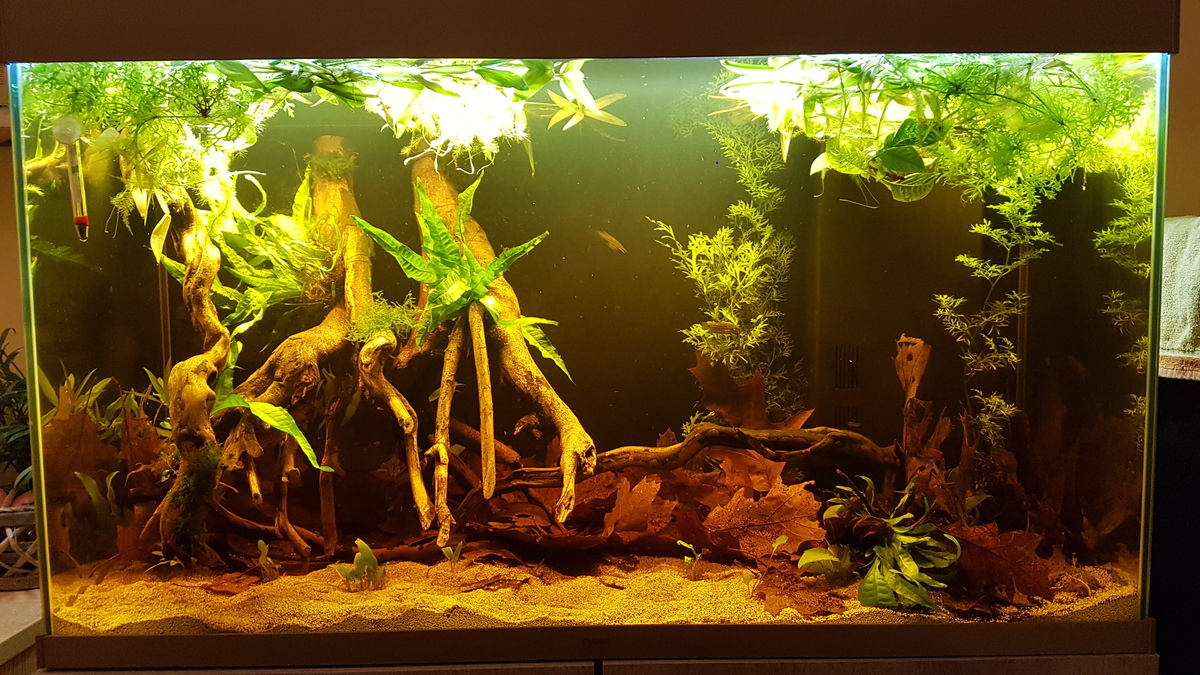 20211015_221104.jpg