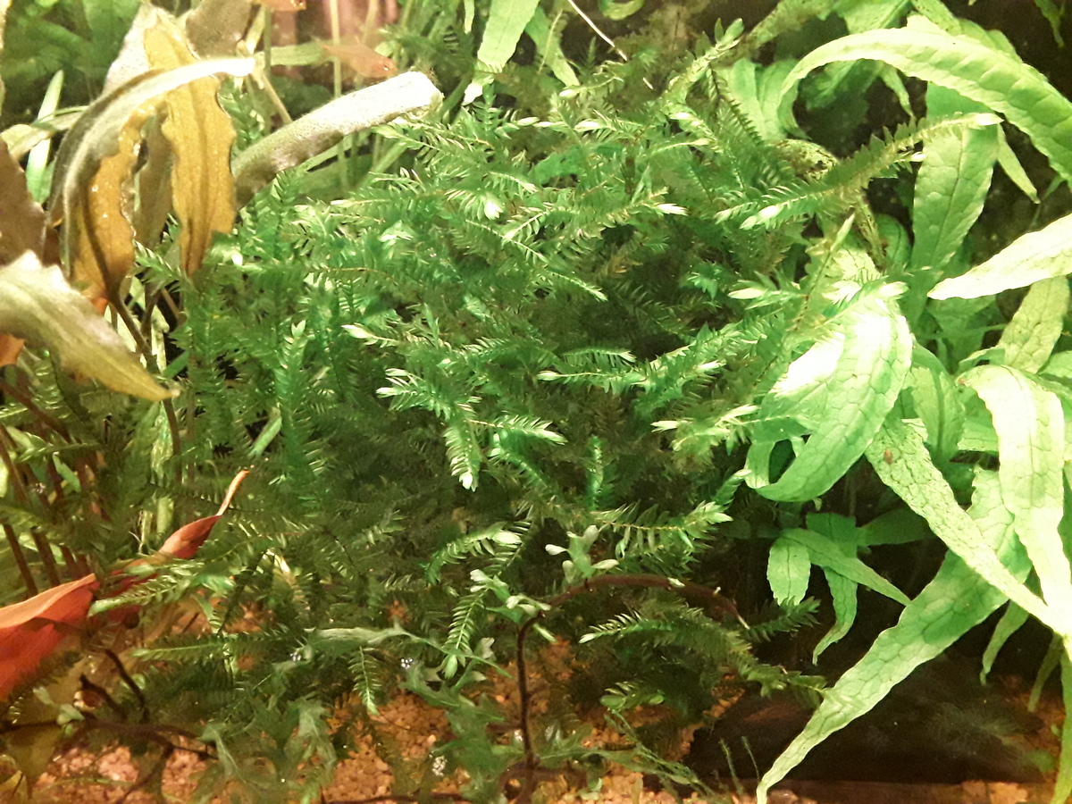20211016_184628.jpg