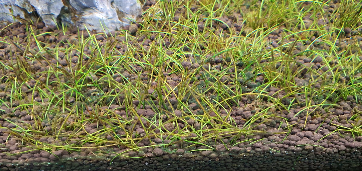 20211025_185004.jpg