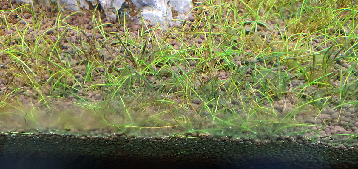 20211028_181025.jpg