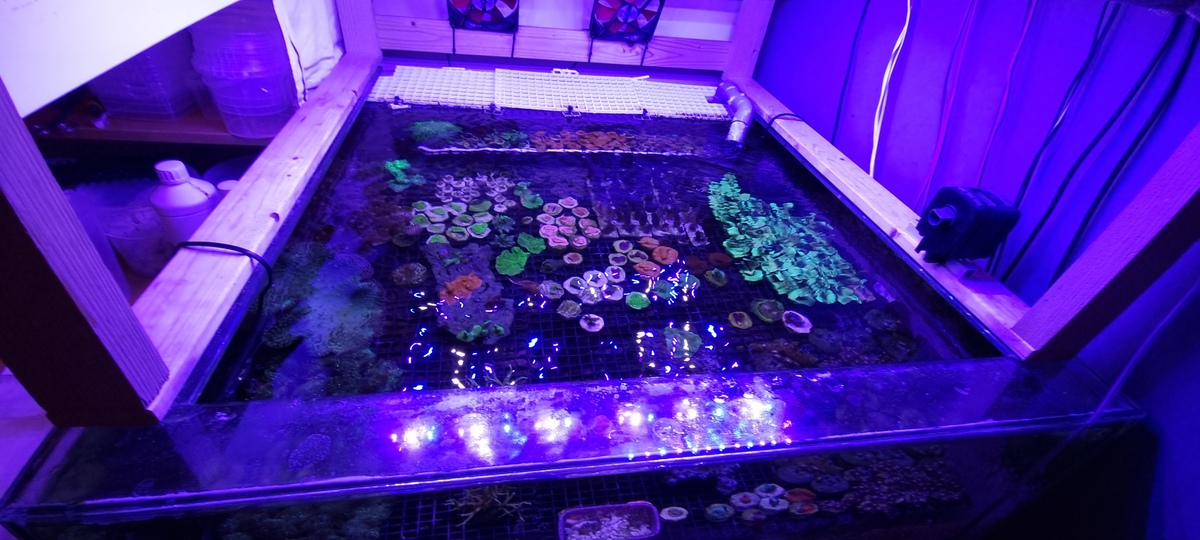 20211029_181818.jpg