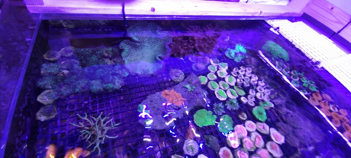 20211029_181825.jpg