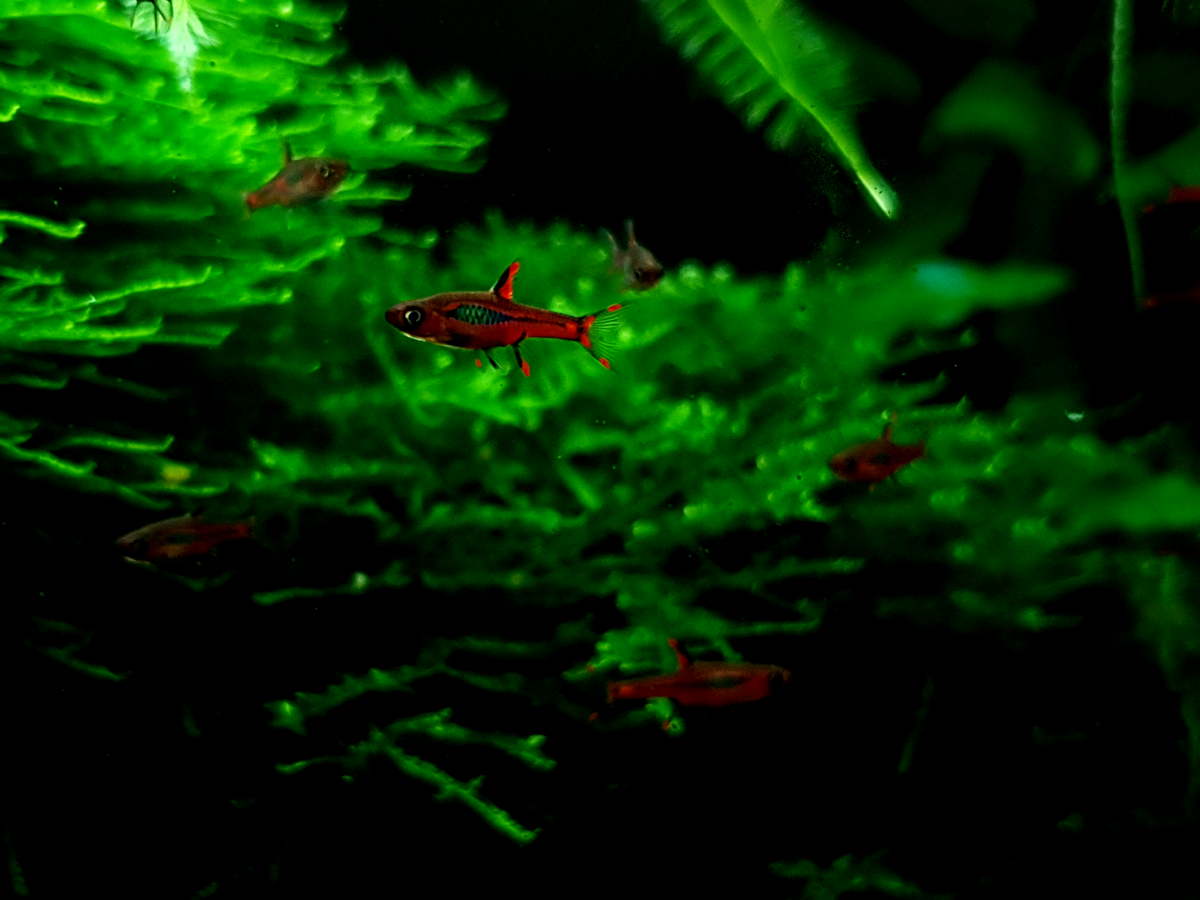 20211102_181700-edit.png