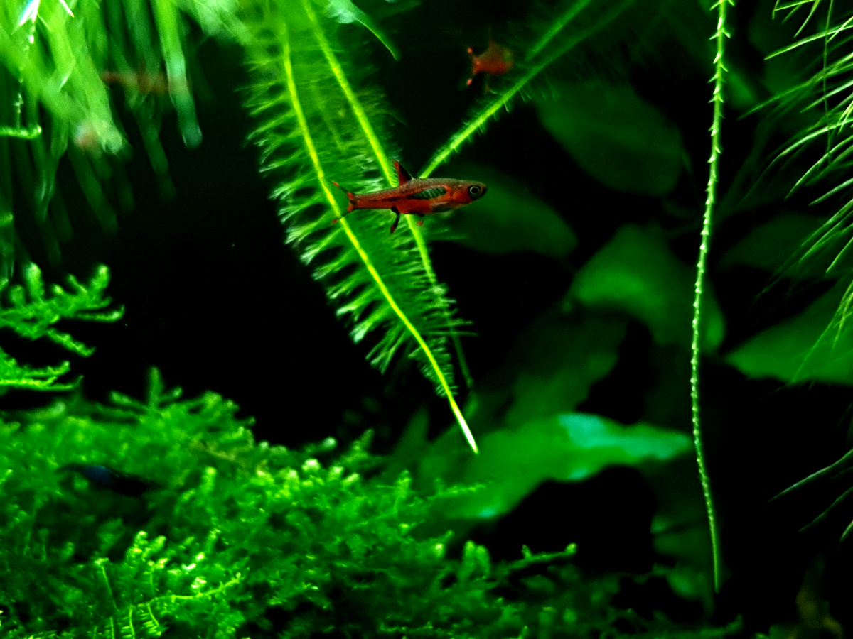 20211102_181826-edit.png
