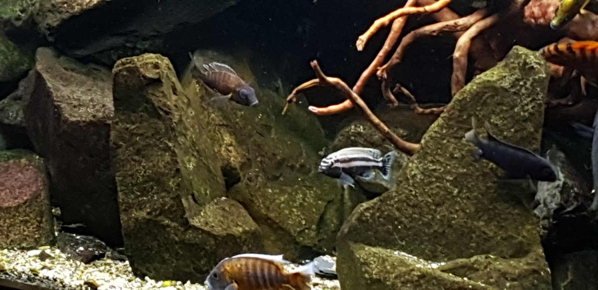 20211229_184758.jpg