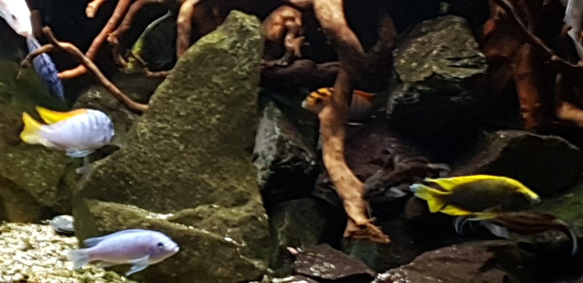 20211229_185238.jpg