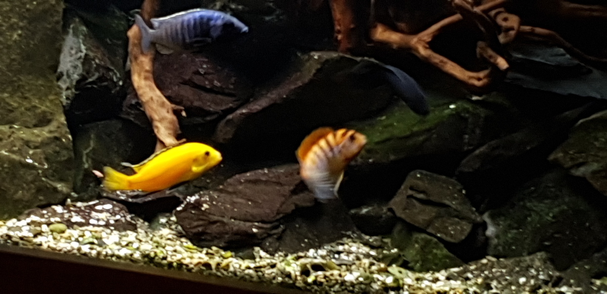 20211229_185337.jpg