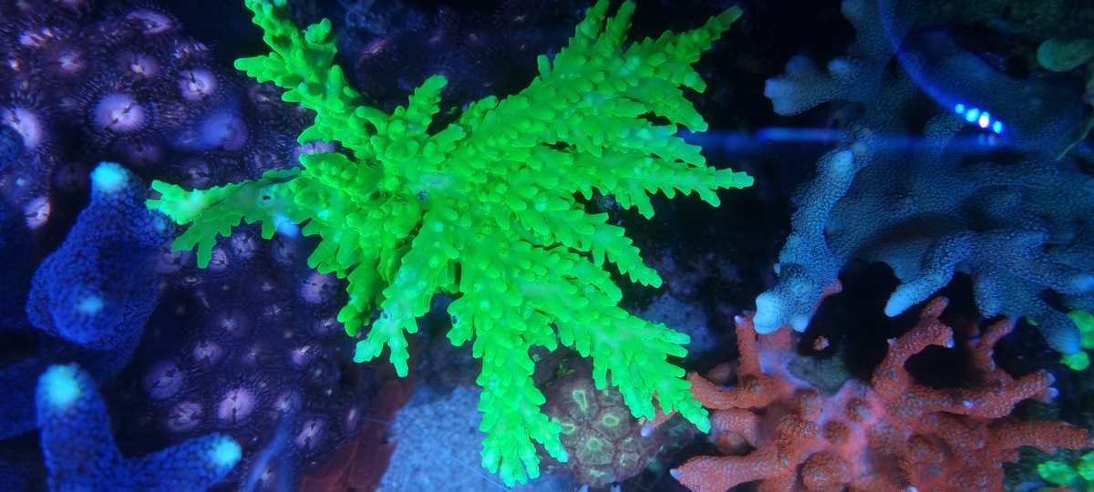 20211231_105523.jpg