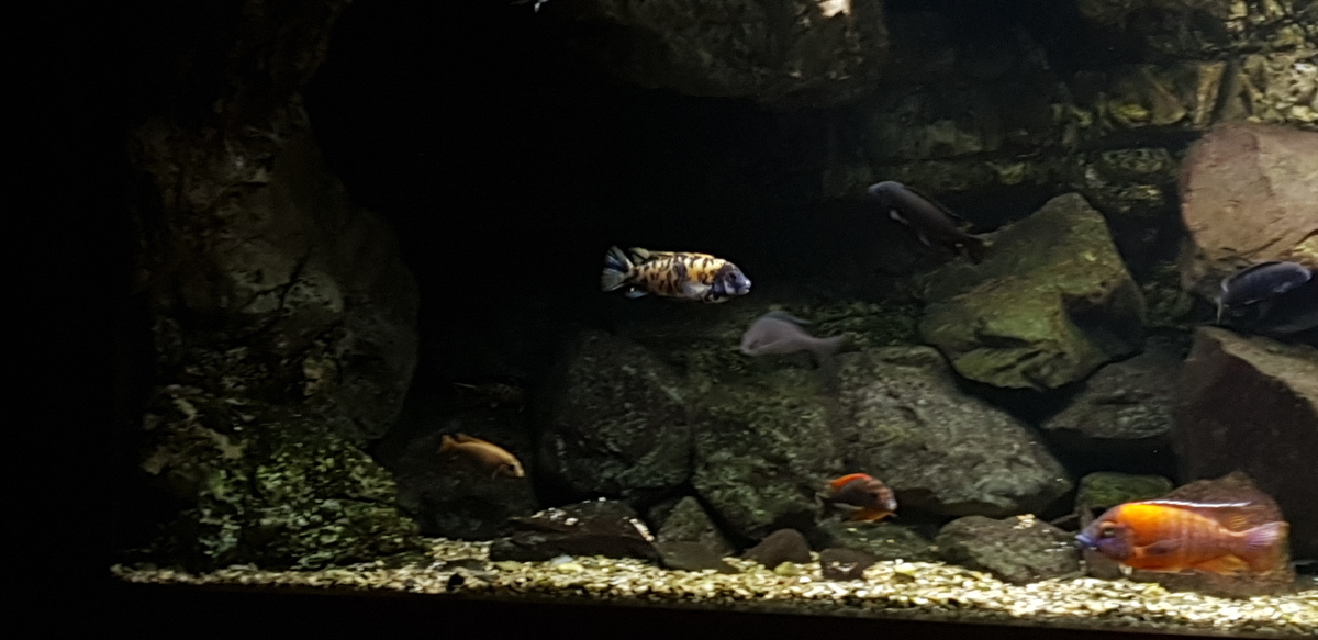 20220103_192205.jpg