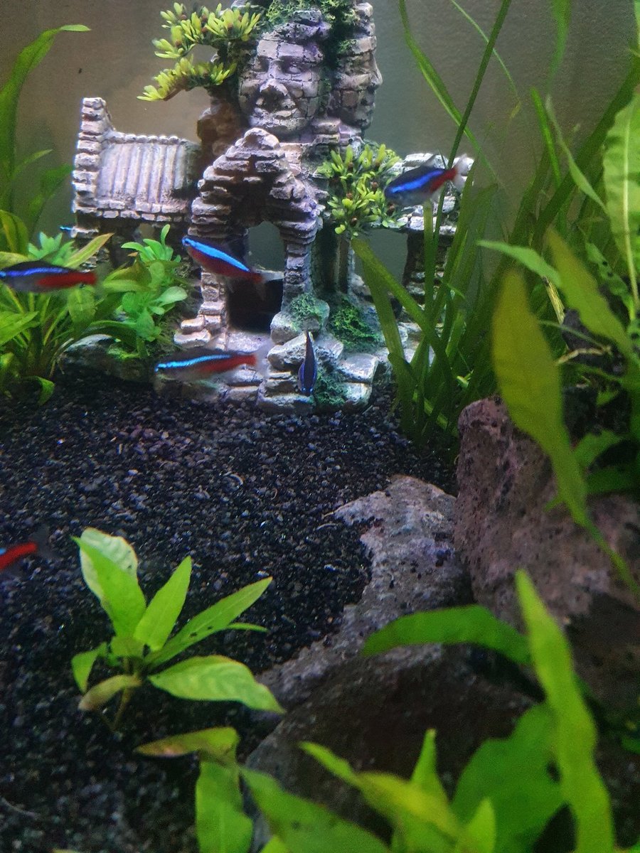 20220109_194947.jpg