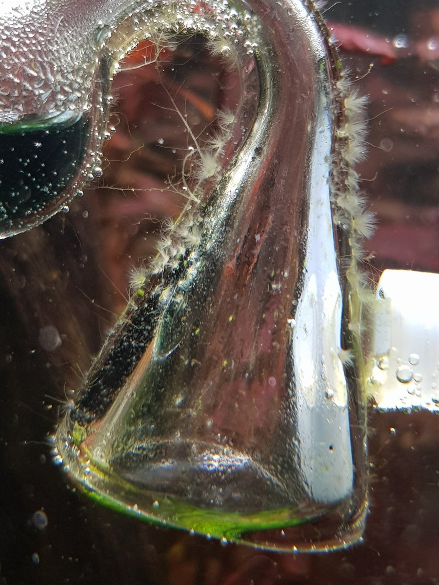 20220112_190626[1].jpg