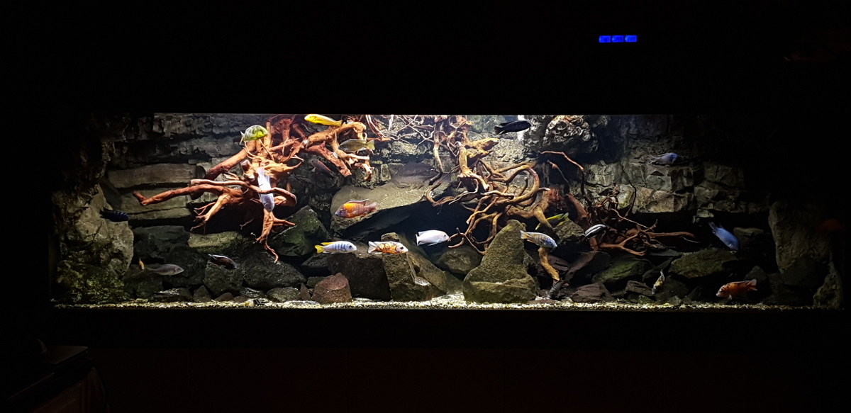 20220115_175222.jpg
