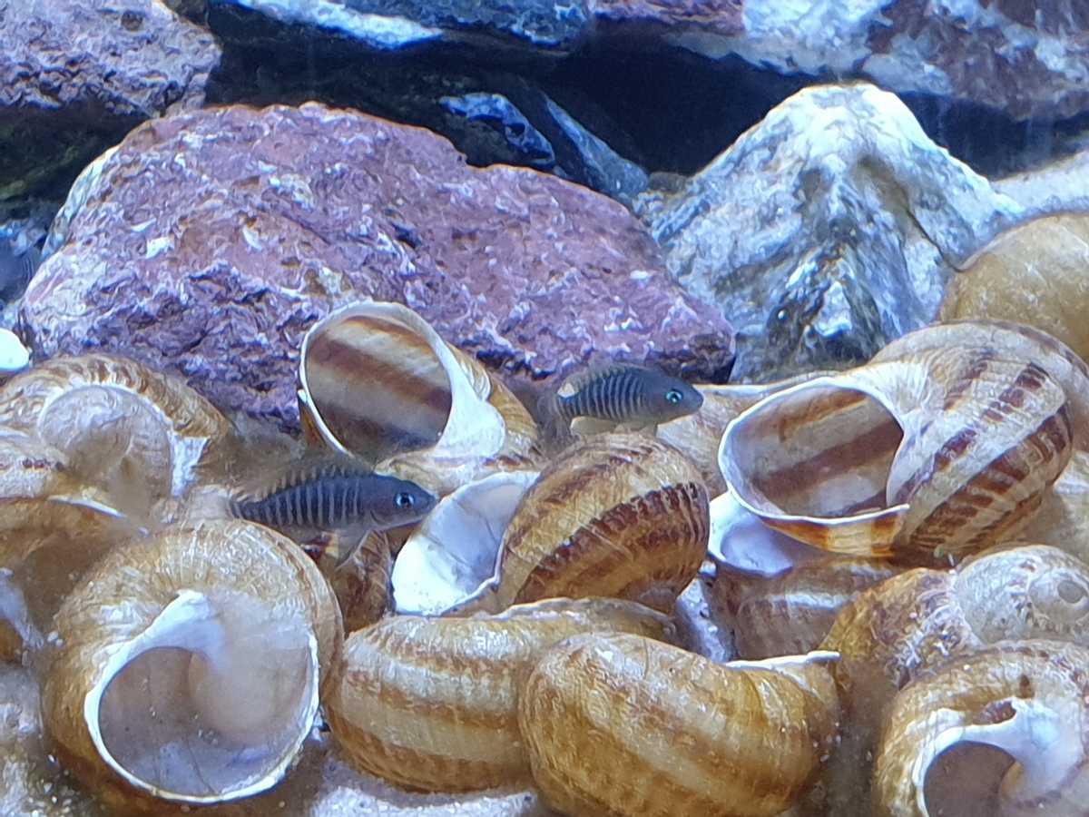 20220116_115006.jpg