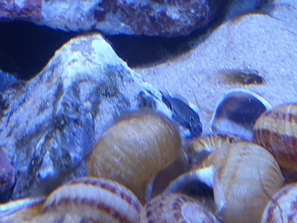 20220116_115016.jpg