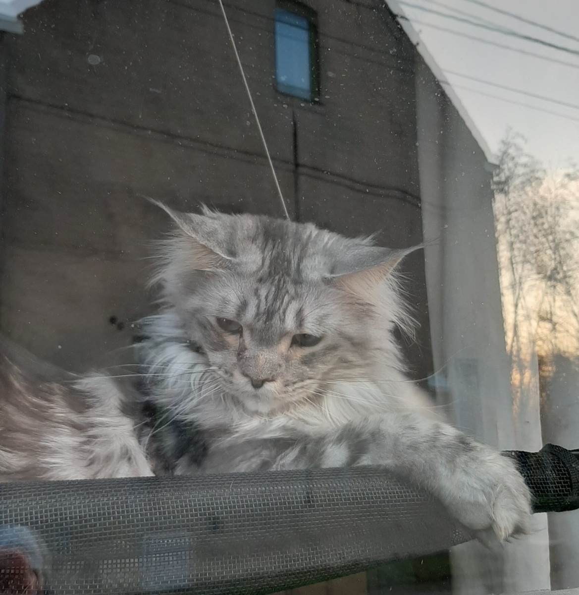 20220116_143144.jpg