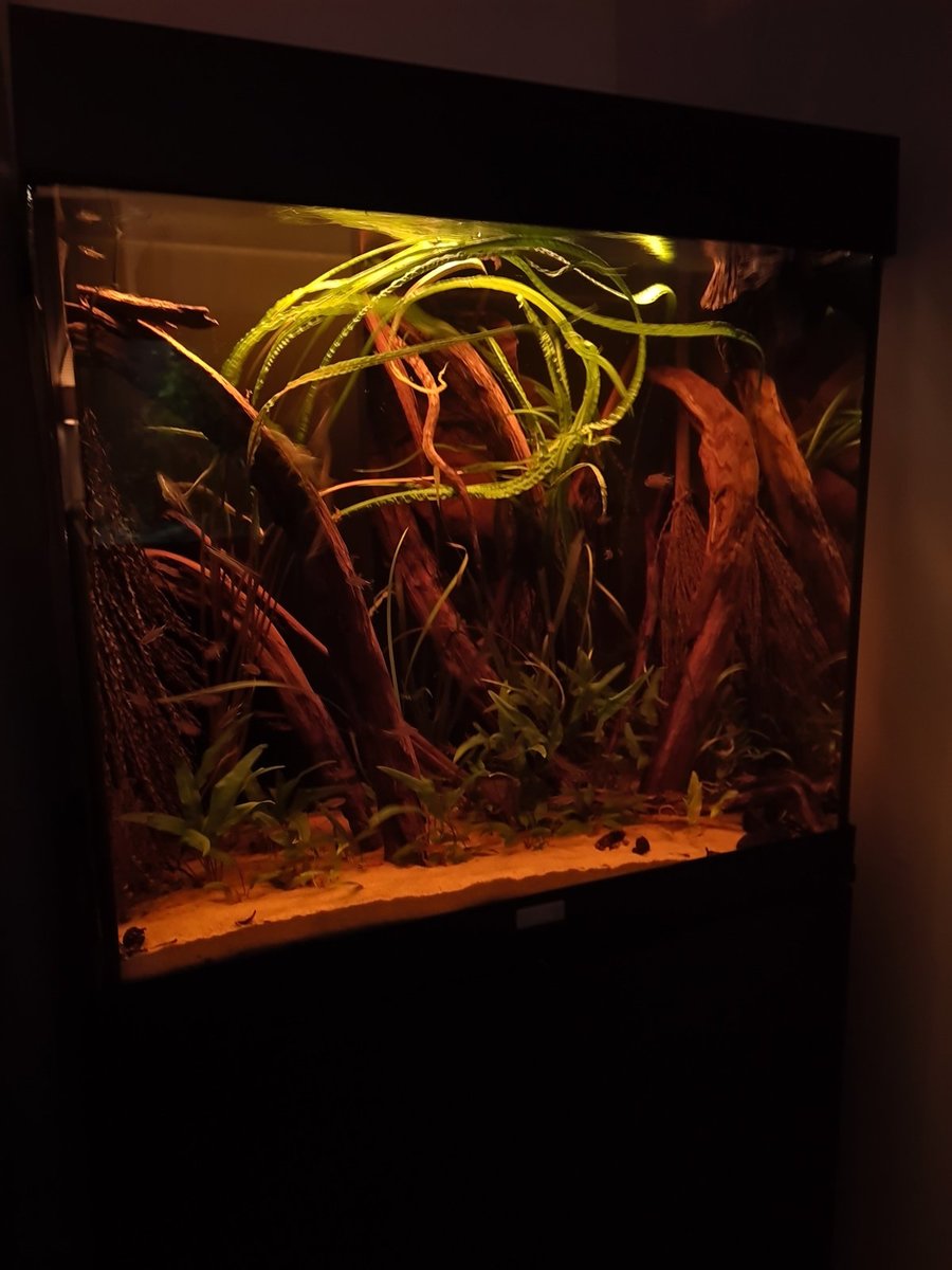 20220116_183803.jpg