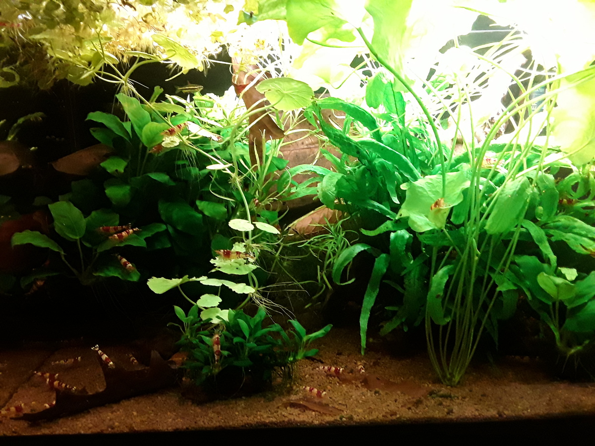20220116_220252.jpg
