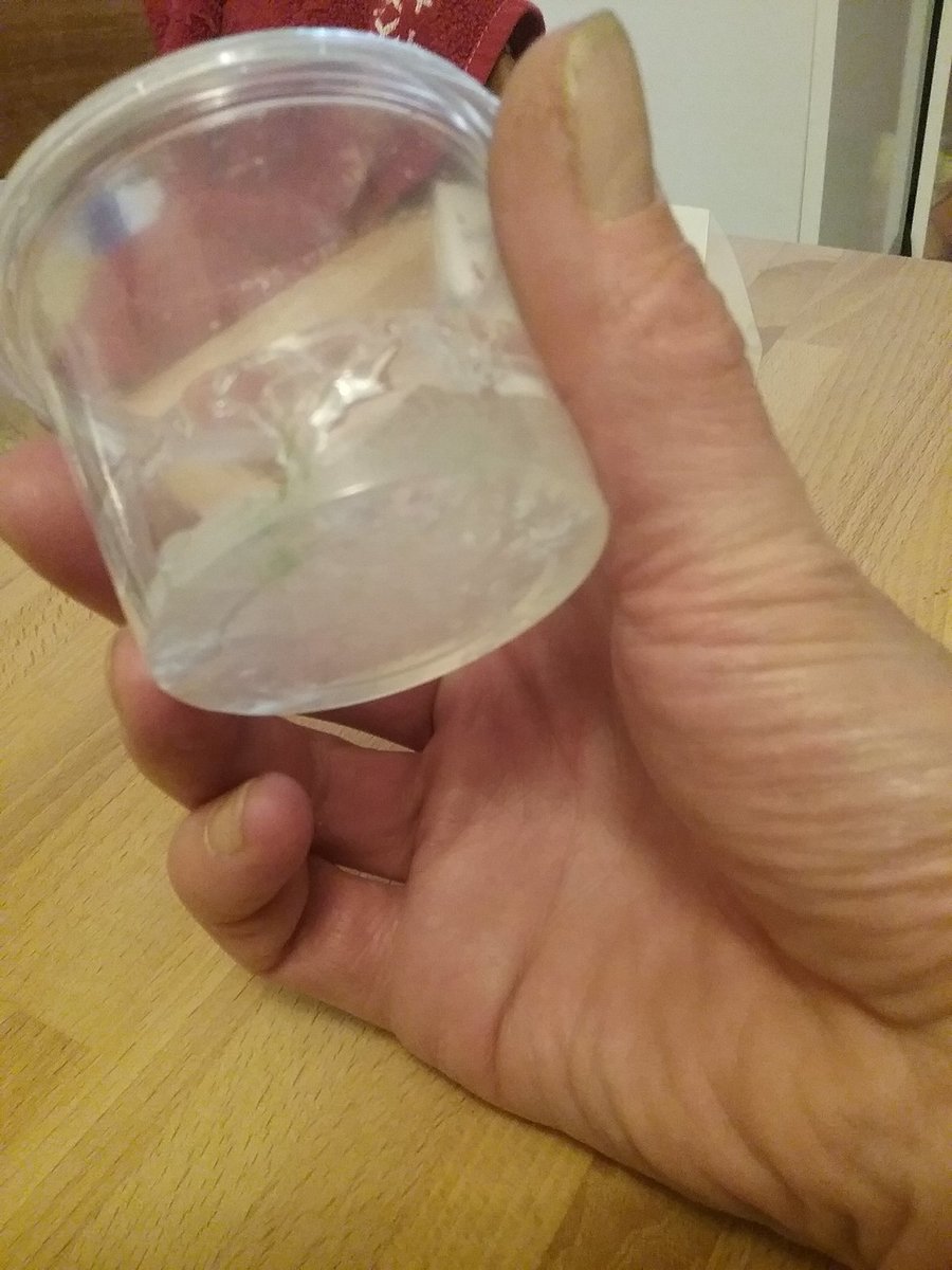 20220121_191731.jpg