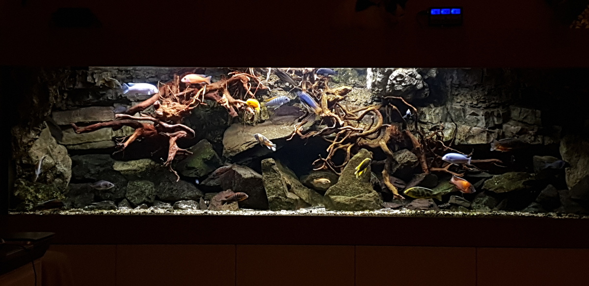 20220122_181617.jpg