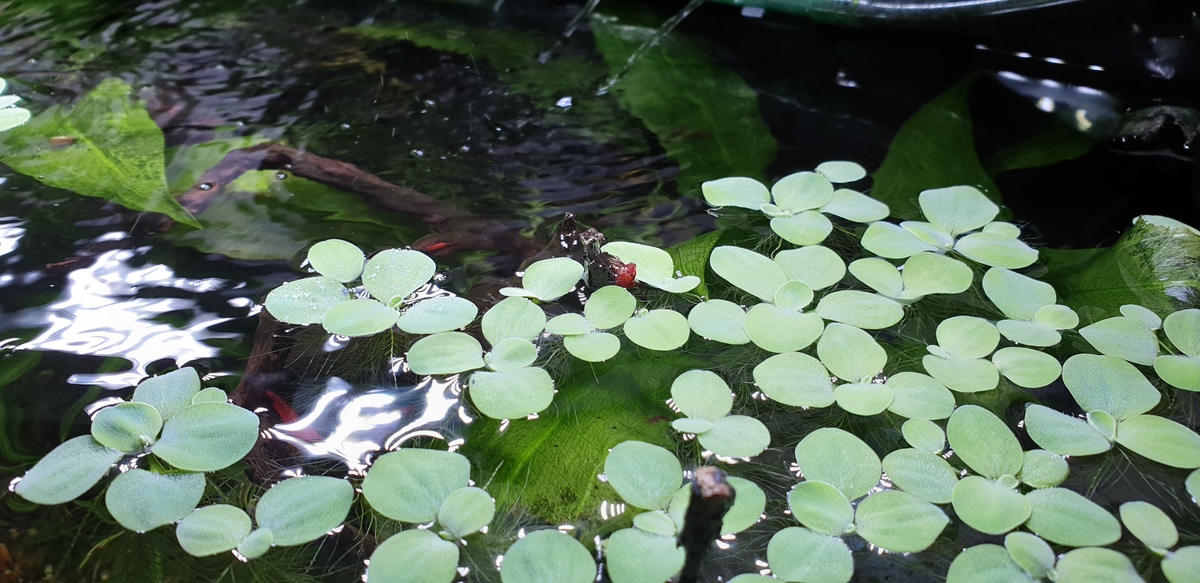20220123_142103.jpg