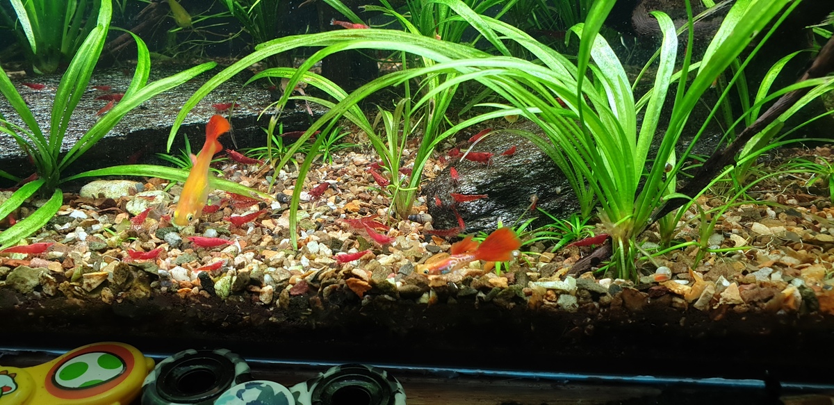20220123_151610.jpg