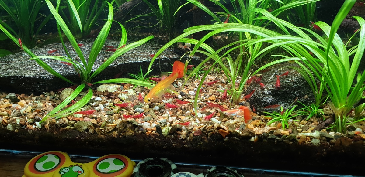 20220123_151613.jpg