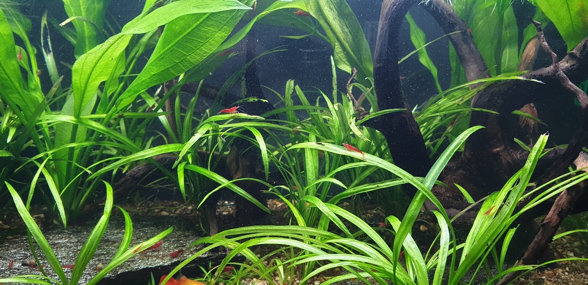 20220123_151622.jpg