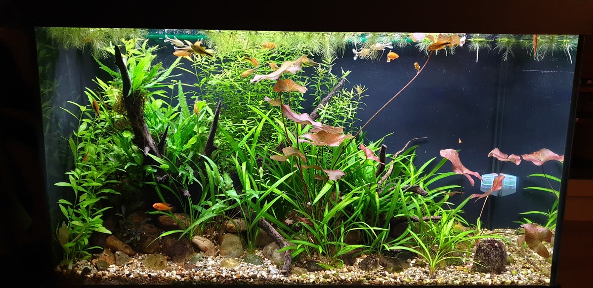 20220123_174033.jpg
