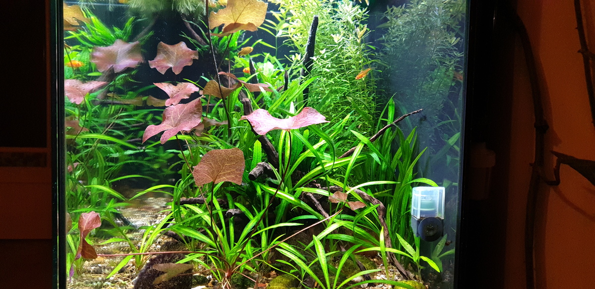 20220123_174115.jpg