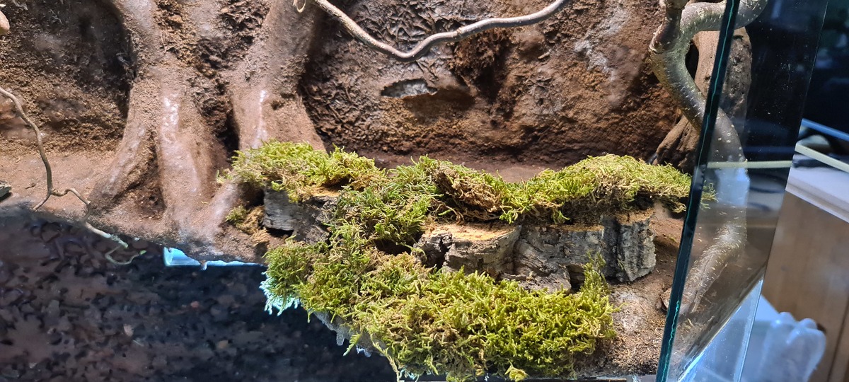 20220124_161555.jpg