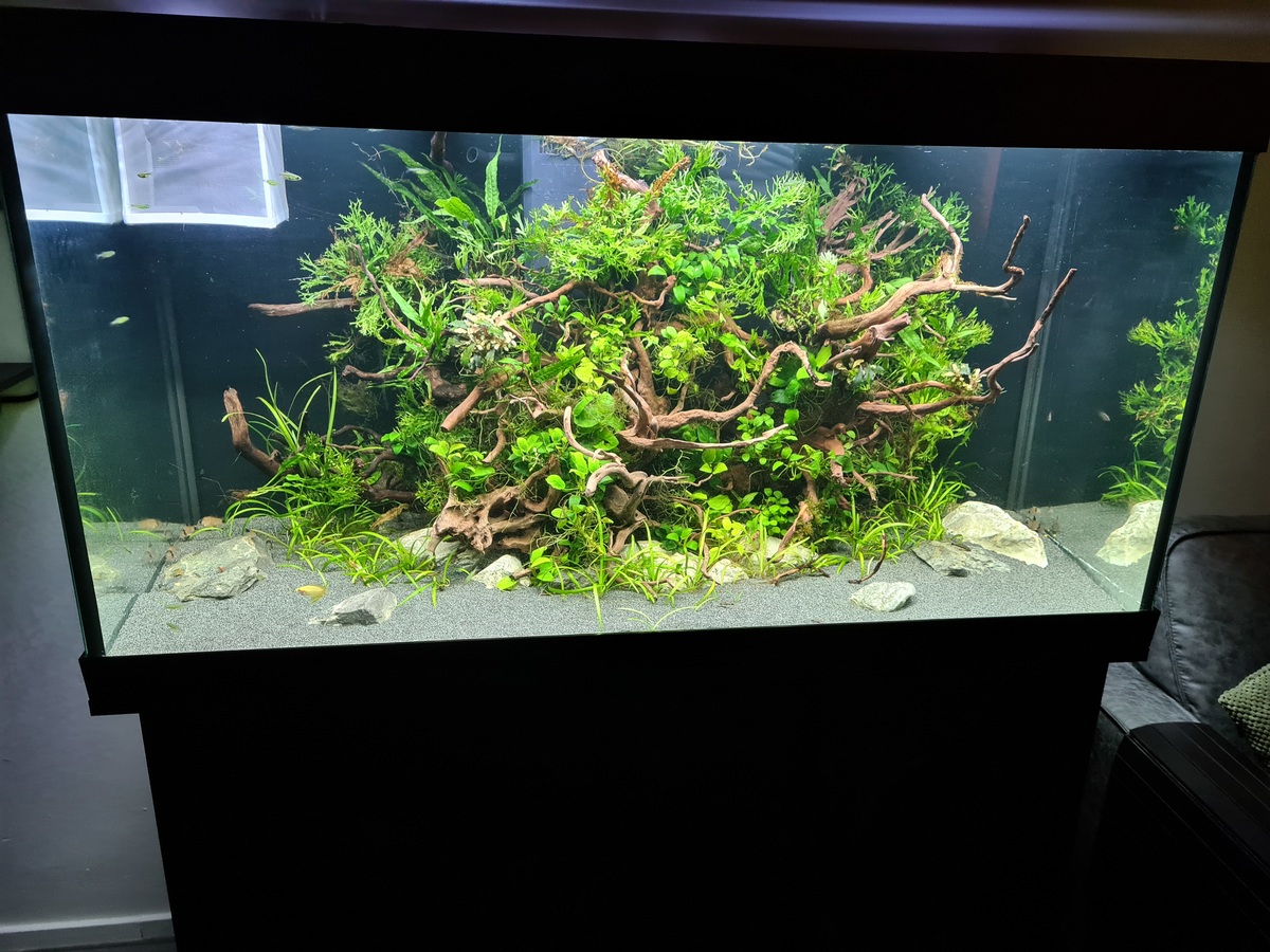 20220124_175225.jpg