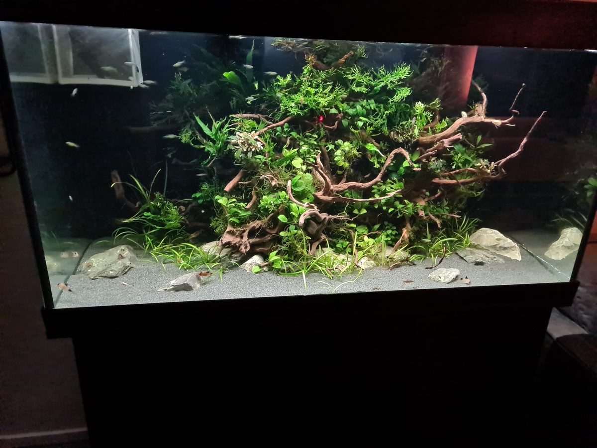 20220124_200515.jpg