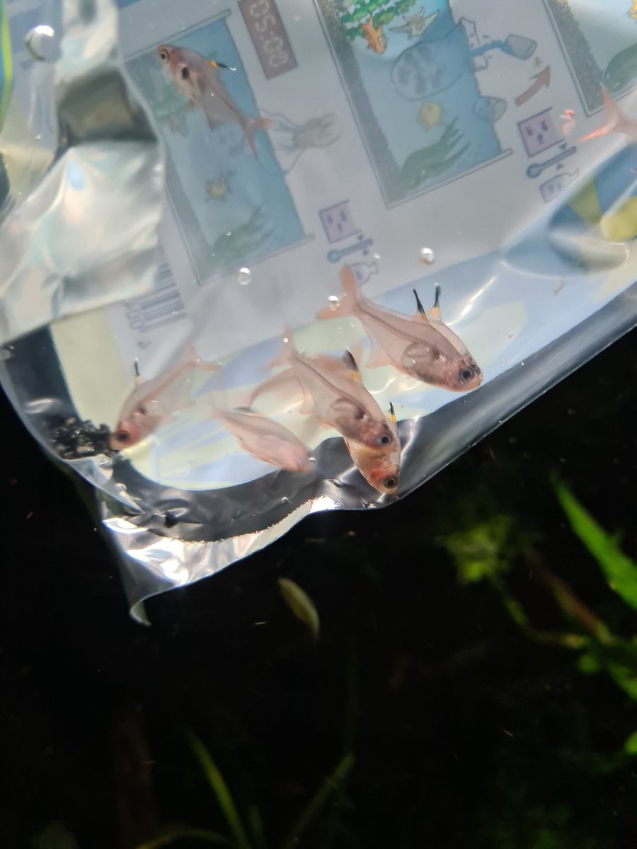 20220125_190156.jpg