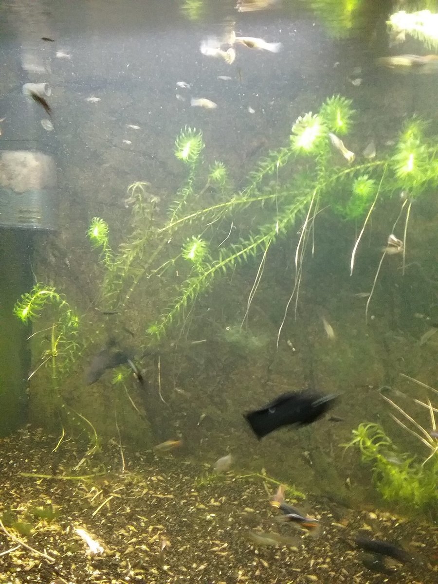 20220127_080453.jpg