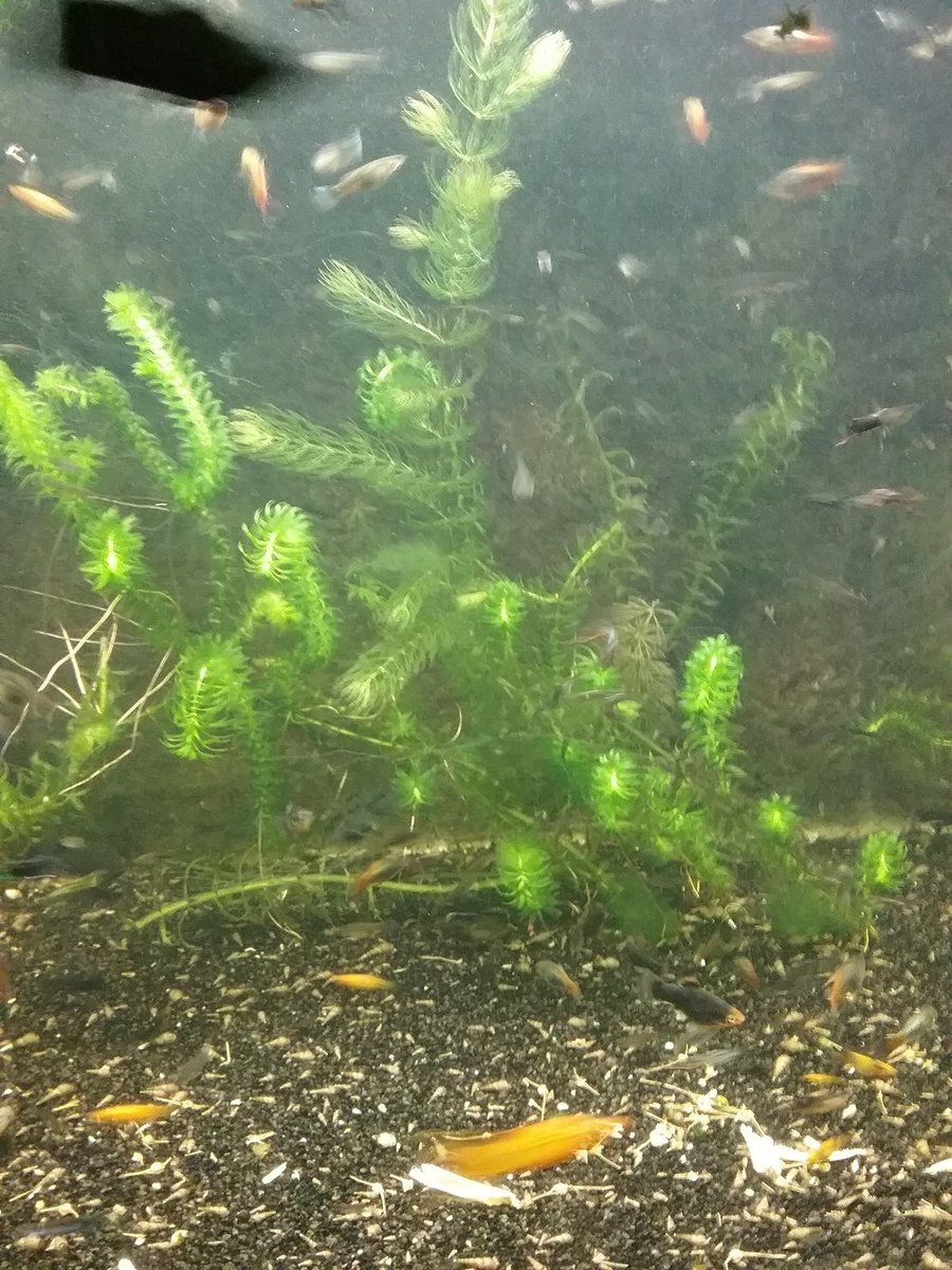 20220127_080505.jpg